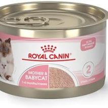 Royal Canin Feline Health Nutrition Mother & Babycat Queen Ultra Soft Mousse in Sauce Cat Food, 5.1 oz (Pack of 24)